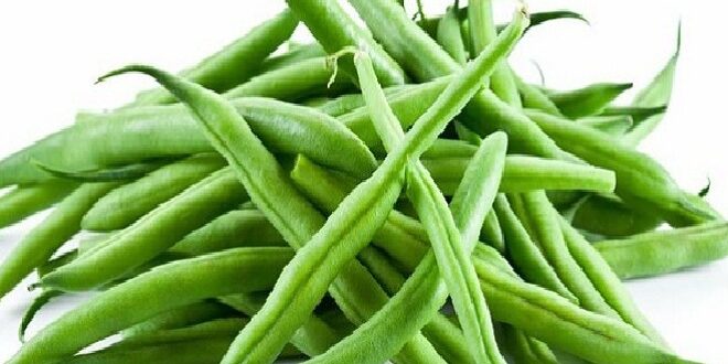 Harga Buncis per kilo di Pasaran, Jenis, Manfaat dan Nutrisi